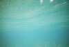 860100_01A_018.jpg