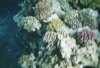 860100_13A_013.jpg