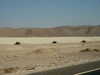 PICT3772.JPG