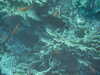 PICT3810.JPG