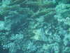PICT3813.JPG