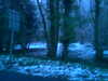 2006-02-05:Snow
