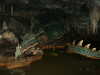 20060314141705-PICT3855.JPG