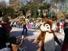 20060314145932-PICT3858.JPG