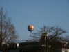 20060314151537-PICT3891.JPG
