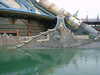 DSCF0005.JPG