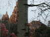 20060315133014-PICT3936.JPG