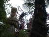 20060315145819-PICT3956.JPG