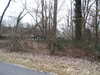 20060316100901-PICT3972.JPG