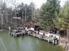 20060317103311-PICT4049.JPG