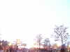 20060317182549-PICT4082.JPG
