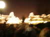 20060317190236-PICT4099.JPG