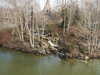 20060318091640-PICT4115.JPG