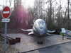 20060318144510-PICT4137.JPG