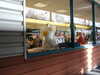 20060318145510-PICT4172.JPG