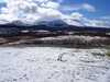 20060408123625-100_0402.JPG