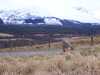20060408172446-100_0429.JPG