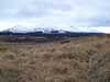 20060408172501-100_0430.JPG