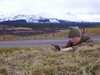 20060408172539-100_0432.JPG