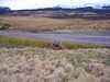 20060408172830-100_0433.JPG
