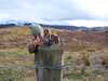 20060408173836-100_0442.JPG