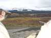 20060408173943-CIMG0840.JPG
