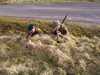 20060408174321-100_0447.JPG