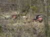 20060417123526-sniper_06_010.jpg