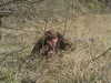 20060417123852-sniper_06_014.jpg