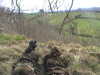 20060417133634-sniper_06_019.jpg