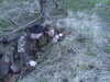 20060417133820-sniper_06_021.jpg