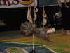 DSCF1879.JPG