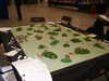 20060422152329-PICT4328.JPG