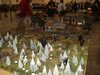 20060422152941-PICT4349.JPG