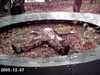 IMAG0002.JPG