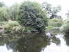 20060814105018-PICT4423.JPG