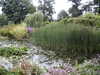 20060814105158-PICT4424.JPG