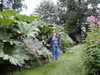 20060814105943-PICT4429.JPG
