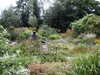 20060814110212-PICT4432.JPG