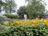 20060814110932-PICT4441.JPG