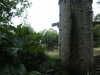 20060814111652-PICT4448.JPG
