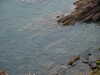 20060818120301-PICT4496.JPG