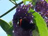 MVC-062F.JPG