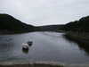 20060819154408-PICT4524.JPG