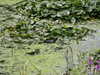 20060823135647-PICT4596.JPG