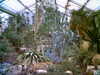 20060823145059-HPIM0002.jpg