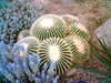 20060823145117-HPIM0003.jpg