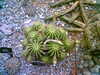 20060823145154-HPIM0004.jpg
