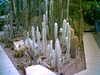 20060823145218-HPIM0005.jpg