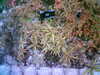 20060823145712-HPIM0012.jpg